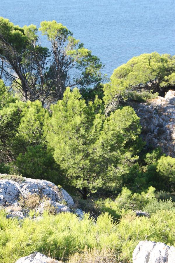 La Maison Narbonnaise Narbonne Eksteriør billede